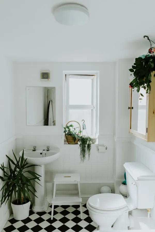 Modern Bathroom Renovation - Complete renovation in Douglas